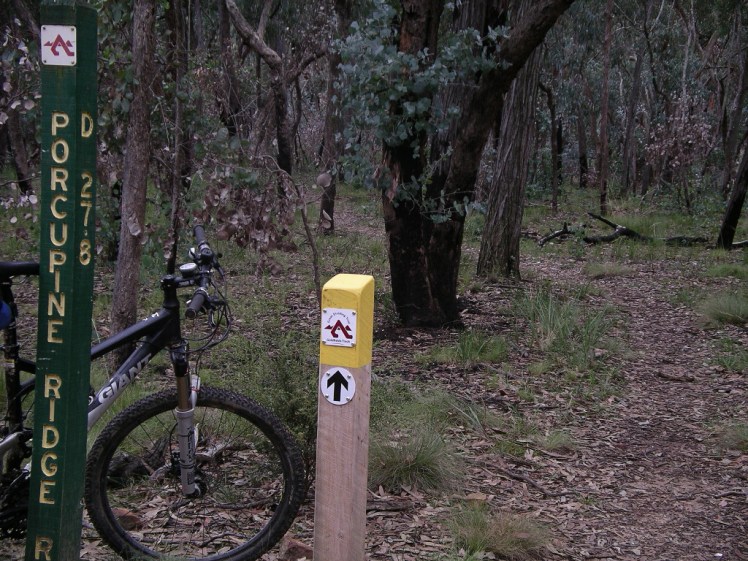Goldfields Track post