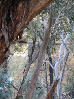 Cuneen's Gull water fall