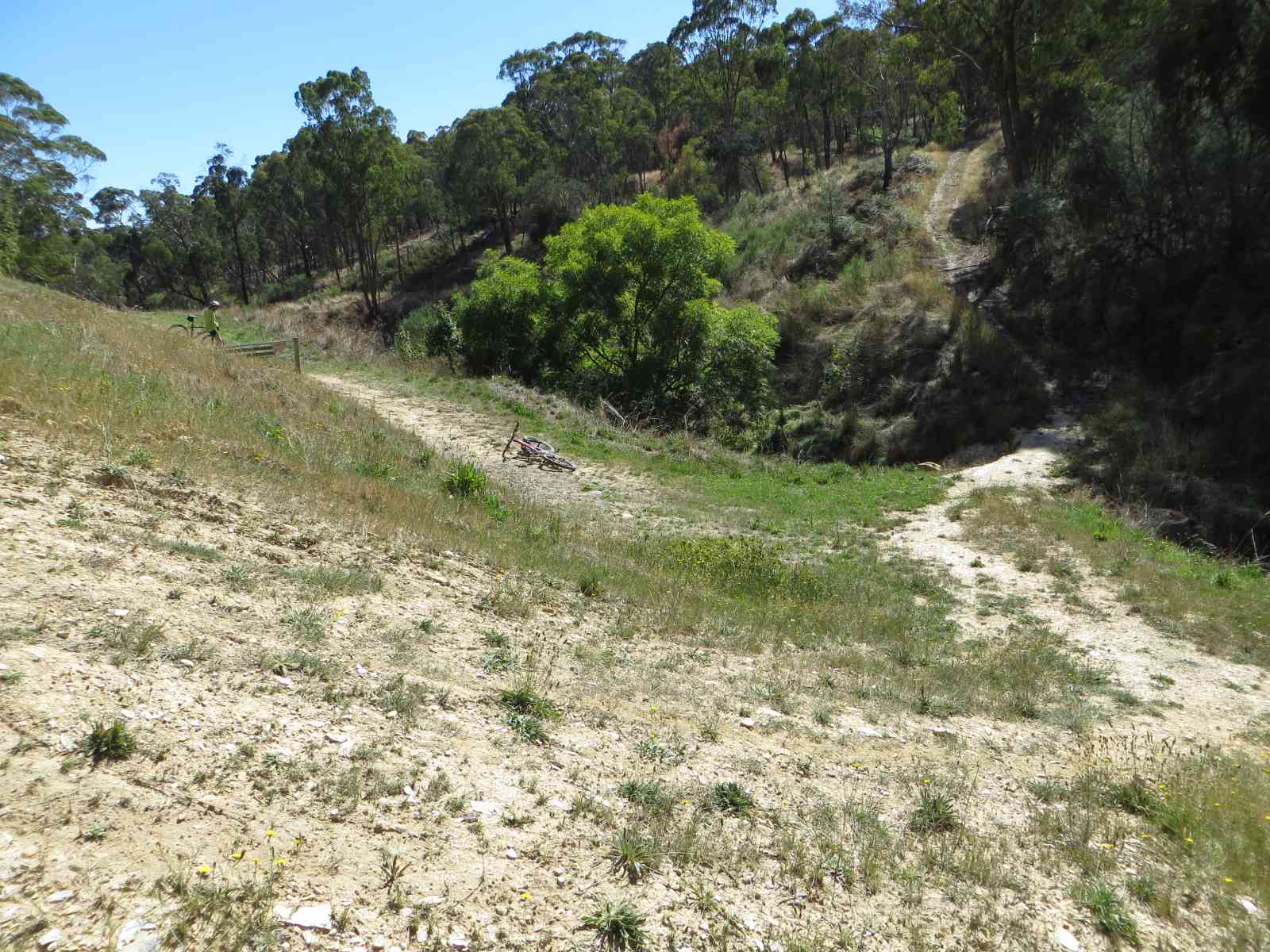 Doctors Gully crossing