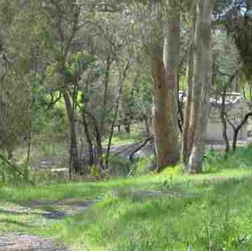 Trail goes along lower side of hut ahead