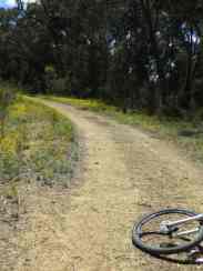 Profuse bush flora along Coliban Main Channel